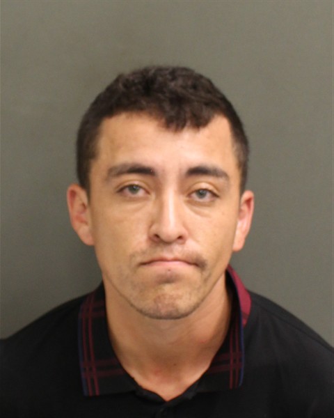  ANDRES FELIPE MENDIVELSOFERNANDEZ Photo Image