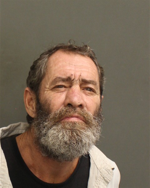  DAVID WILLARD VICKERS Mugshot / County Arrests / Orange County Arrests