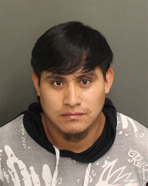  HECTOR EULALIOVENTURAVELASQ Mugshot / County Arrests / Orange County Arrests