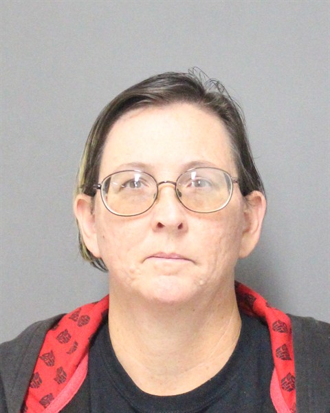  MICHELLE DAWN METCALF Mugshot / County Arrests / Orange County Arrests