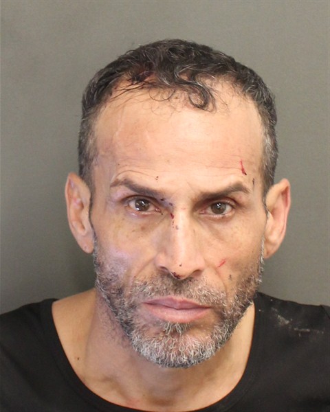  JUAN SUBIRARODRIGUEZ Mugshot / County Arrests / Orange County Arrests