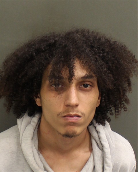  GREGORY GERES Mugshot / County Arrests / Orange County Arrests