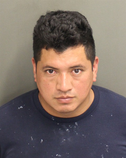  GELVER ERASMO LOPEZOROZCO Photo Image