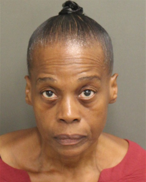  MICHELE RENE KING Mugshot / County Arrests / Orange County Arrests