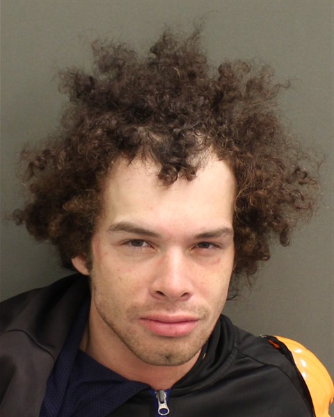  EDGAR MATTHEW JR FLORES Mugshot / County Arrests / Orange County Arrests