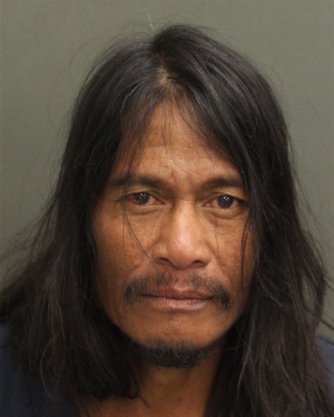  WILLIAM DISON Mugshot / County Arrests / Orange County Arrests
