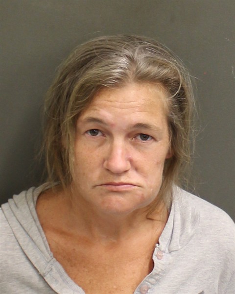  HEATHER NICOLE HOBIN Mugshot / County Arrests / Orange County Arrests