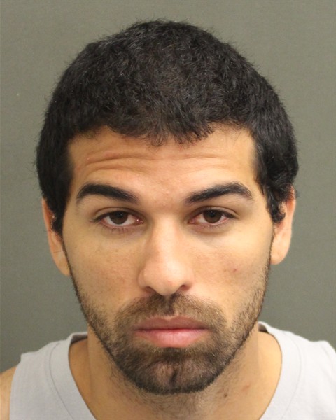  LUIS ANDERSON HERRERAGUEVARA Mugshot / County Arrests / Orange County Arrests