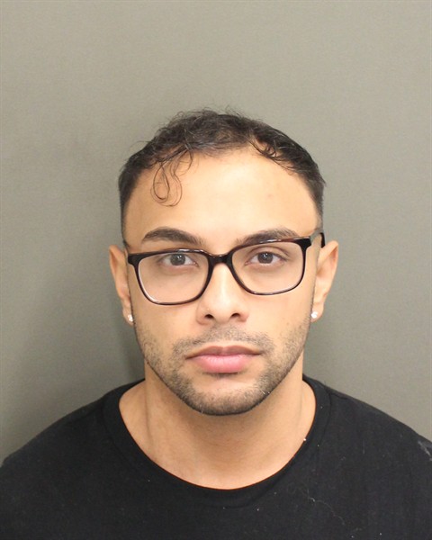  NICHOLAS SONNY MEGALEY Mugshot / County Arrests / Orange County Arrests