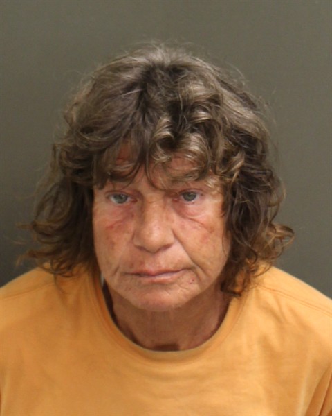  LESLIE PAIGE WILLIAMS Mugshot / County Arrests / Orange County Arrests