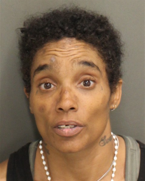  NATASHA MICHELLE STONER Mugshot / County Arrests / Orange County Arrests