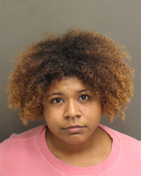  ARIANA BELEN GOYCOCHEAPINEDA Mugshot / County Arrests / Orange County Arrests
