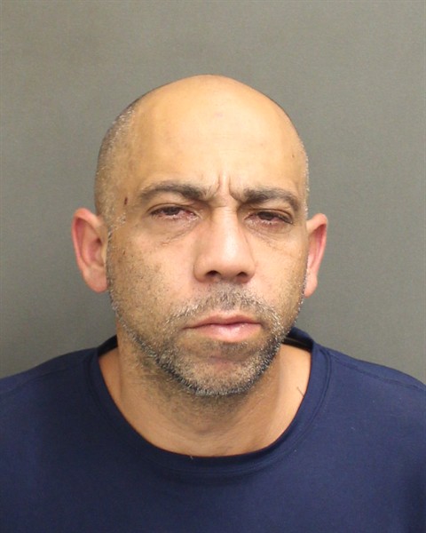  RAMON  JR BORROTO Mugshot / County Arrests / Orange County Arrests