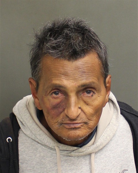  TEODORO DONES COLON Mugshot / County Arrests / Orange County Arrests