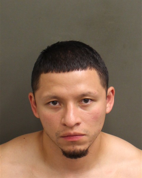  MICHAEL ARNOLD FLORES Mugshot / County Arrests / Orange County Arrests