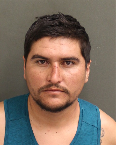  ERNESTO GUADALUPE LIMONCORTES Mugshot / County Arrests / Orange County Arrests