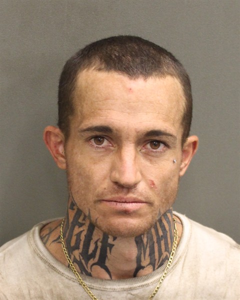  BRADLEY TODD JR GORNALL Mugshot / County Arrests / Orange County Arrests