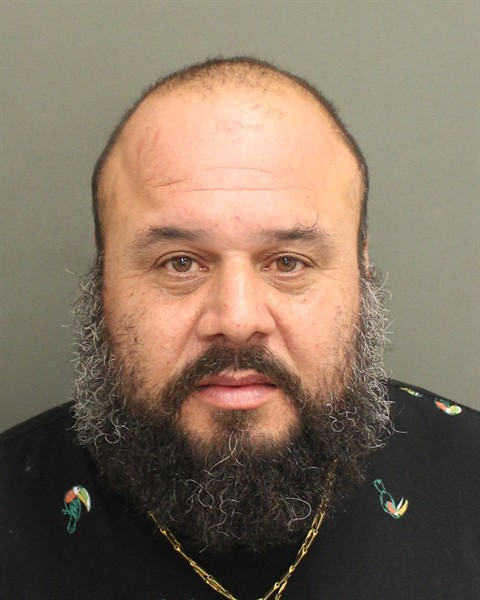  JOSE LUIS REYES Mugshot / County Arrests / Orange County Arrests