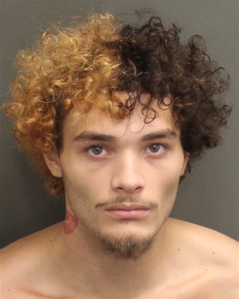  GIOVANNI JUDEL CAMACHO Mugshot / County Arrests / Orange County Arrests