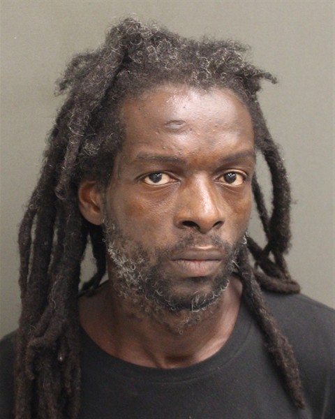  LESLU HENRY Mugshot / County Arrests / Orange County Arrests