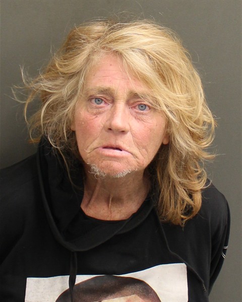  DIANIA LYNN FLAKE Mugshot / County Arrests / Orange County Arrests