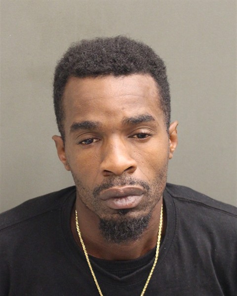  LOUIS LEE JAMES Mugshot / County Arrests / Orange County Arrests