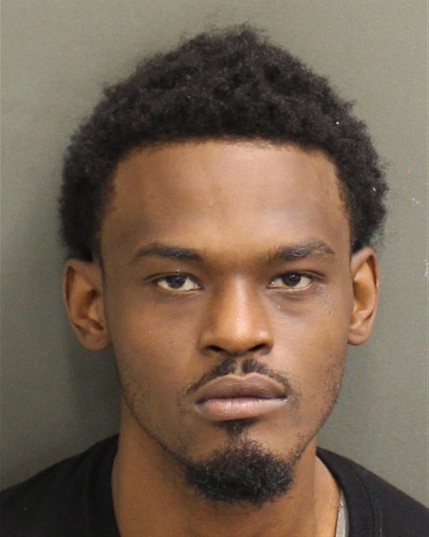  LEWIS ALVIN DAVID Mugshot / County Arrests / Orange County Arrests