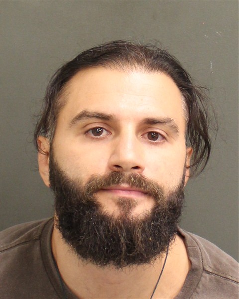  DMITRI S FONTANZ Mugshot / County Arrests / Orange County Arrests