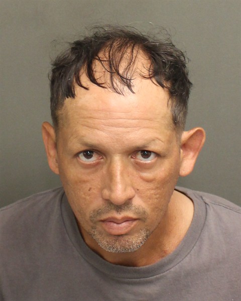  RAMON ANTONIO ORTIZ Mugshot / County Arrests / Orange County Arrests