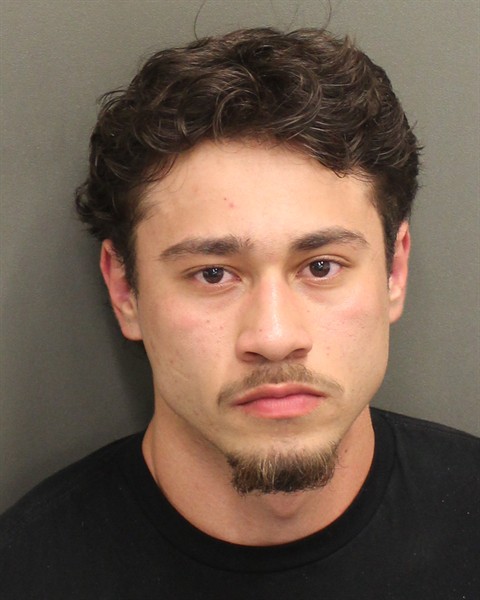  AADEN ALEXANDER REYES Mugshot / County Arrests / Orange County Arrests