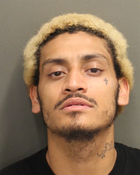  ELIAS RODERICK JAMES Mugshot / County Arrests / Orange County Arrests