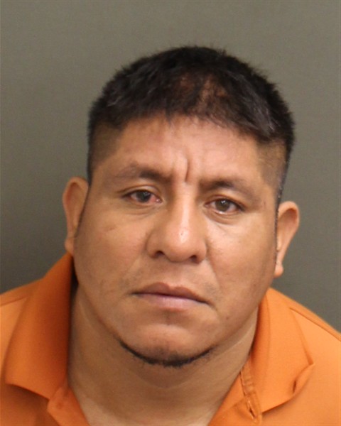  TRINIDAD HERNANDEZSANCHEZ Mugshot / County Arrests / Orange County Arrests