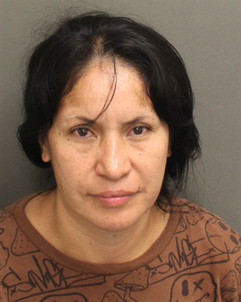  HAYDEE ESTRADA OROZCO Mugshot / County Arrests / Orange County Arrests